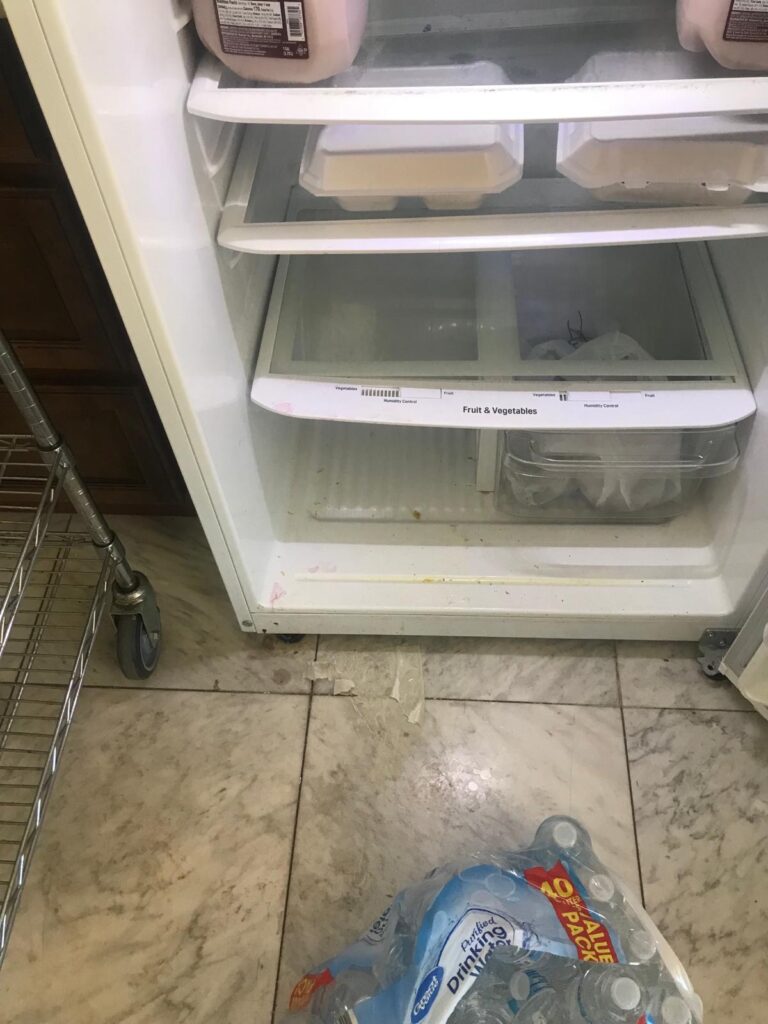 WhatsApp Image 2024-03-19 at 6.10.39 PM (2)