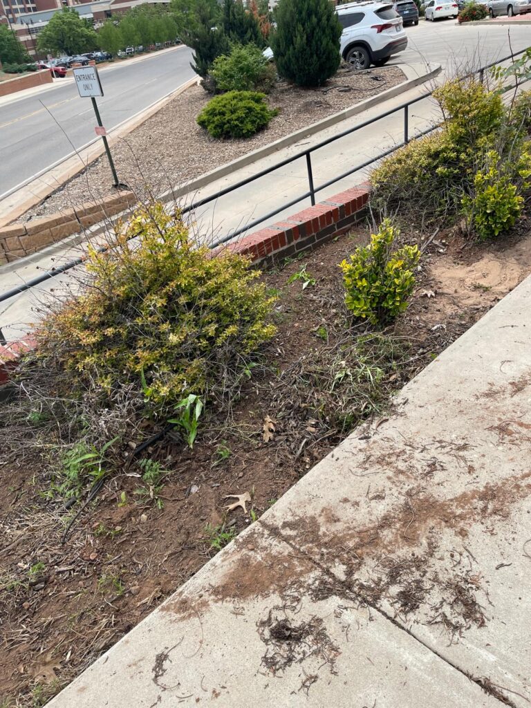 WhatsApp Image 2024-04-23 at 7.31.08 PM (1)