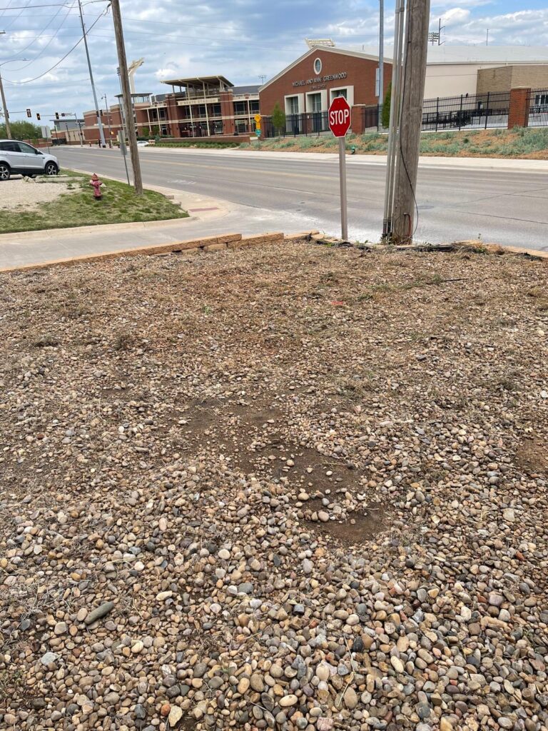 WhatsApp Image 2024-04-23 at 7.31.08 PM (2)