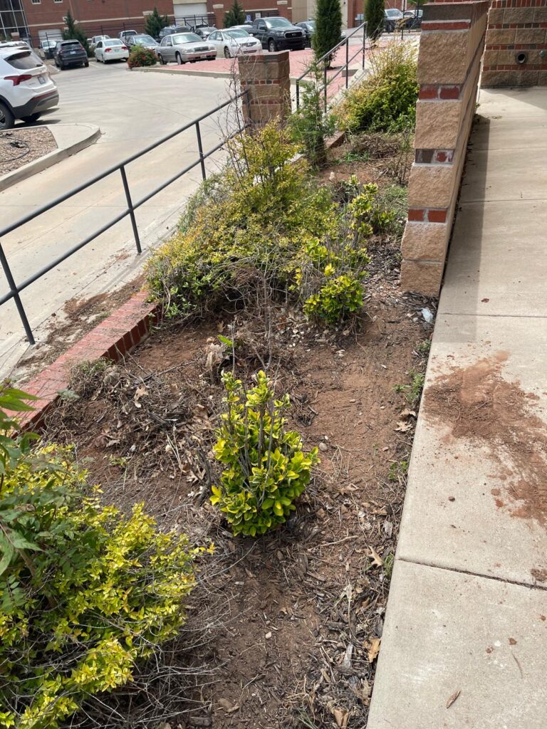 WhatsApp Image 2024-04-23 at 7.31.08 PM